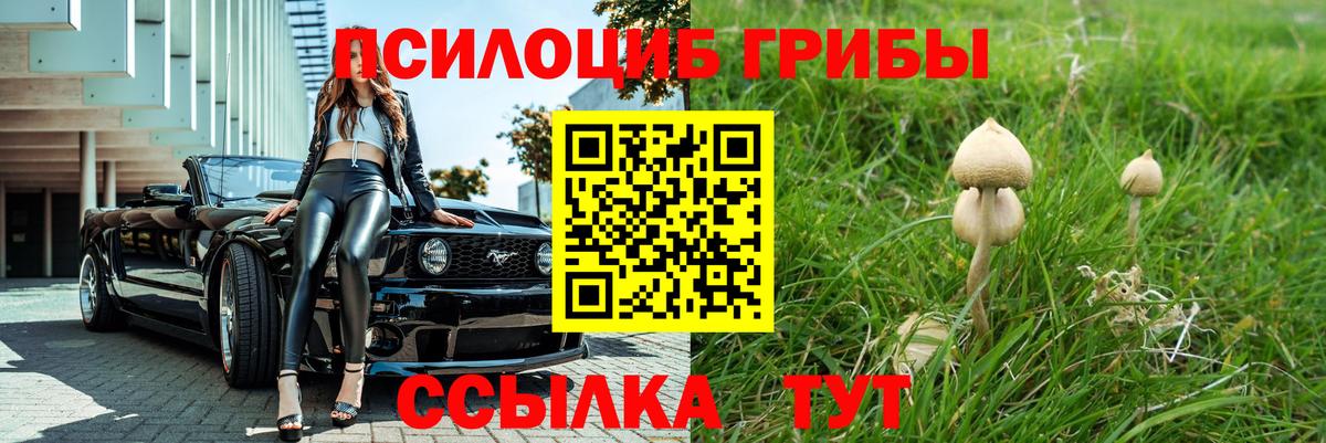 Пыть-Ях  Галлюциногенные грибы Psilocybine cubensis  Вход с VPN  где найти   Псилоцибиновые грибы мицелий 